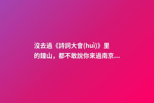 沒去過《詩詞大會(huì)》里的鐘山，都不敢說你來過南京！